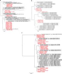 Maybe you would like to learn more about one of these? Historical Genomics Reveals The Evolutionary Mechanisms Behind Multiple Outbreaks Of The Host Specific Coffee Wilt Pathogen Fusarium Xylarioides Bmc Genomics Full Text