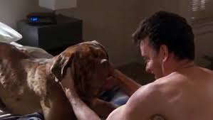 The season premiere of the disney+ series 'turner & hooch' is just around the corner and it will undoubtedly be one of those shows that will bring a lot of nostalgia for a lot of people. Turner Hooch Bath Time Video Dailymotion