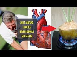 Beruntunglah bagi orang indonesia yang ingin merasakan manfaat air kelapa hijau. Sakit Jantung Kencing Manis Dan Diabetes Sembuh Dengan Minuman Alami Ini Begini Caranya Youtube