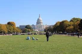 Maybe you would like to learn more about one of these? Dc Design Week 2017 Visual Art