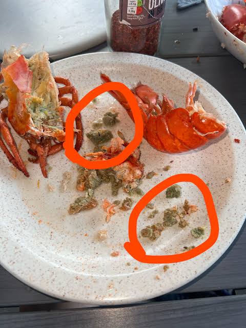 Green stuff inside the chest of a lobster : r/TipOfMyFork