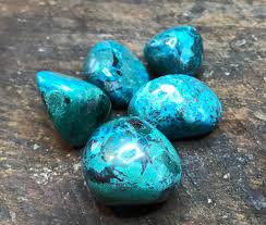 Image result for Chrysochloa