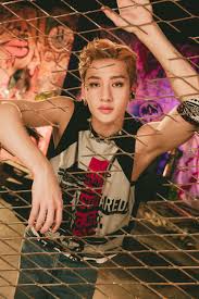 Stray kids üyesi felix kim? Stray Kids Members Profile And Facts Updated