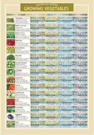 Growing Vegetables Two Sided Color Informational Chart