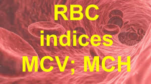 Mcv And Mch Blood Tests Youtube