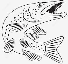Pin By Anna Vartanova On Shuka Fish Coloring Page Fish Drawings Animal Coloring Pages