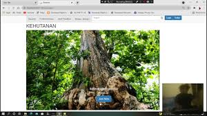 Iana ipv4 address space allocation for prefix 103/8. Pemrograman Web Youtube