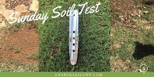 The sunday lawn care system eliminates guess work, removes harmful chemicals that are common to lawn care products, and continually educates lewis said getting the word out about his lawn care program, sunday, is tough. Sunday Lawn Care Review Promo Code Real Case Study Cg Lawn