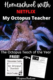 Homeschooling With Netflix My Octopus Teacher Discussion Guide Homeschool Teachers Curriculum