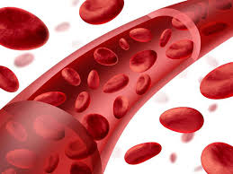 Resultado de imagen de HEMOFILIA