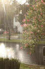 Gif Pluie J Aime La Pluie Paysage Sous La Pluie