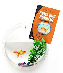 Amazon Com Top Rated Fish Bowl For Goldfish Betta Fish Wall Mounted Bubble Tank Aquarium Hanging Terrarium Incl Hanging Terrarium Fish Bowl Bubbles