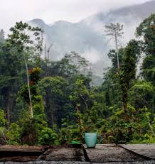 Ini foto tentang tebing, tempat kejadian, tinggi. 20 Tempat Wisata Alam Di Kabupaten Labuhan Batu Utara Serba Serbi Informasi