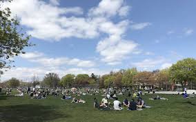 Trinity bellwoods is the ideal place to unwind, play frisbee. Trinity Bellwoods Today Toronto