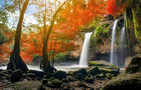 Collection by coreen • last updated 5 hours ago. Wallpaper Autumn Forest Water Nature River Waterfall Forest Cascade River Nature Beautiful Autumn Waterfall Images For Desktop Section Priroda Download