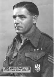 Polish Decorations and Awards