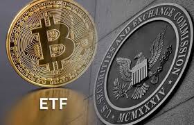 Управляющая компания финэкс инвестмент менеджмент ллп. The Damage A Bitcoin Etf Could Do To Individual Portfolios Hacker Noon