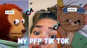 Watch short videos about #funny on tiktok. My Pfp Tik Tok Compilation Youtube