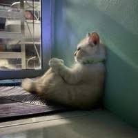 So can sandy unlock her iphone 8 bypassing passcode? How To Unlock My Husband S Phone Password Quora