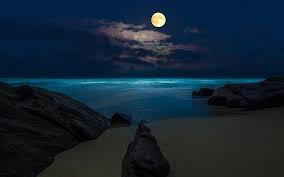 Fondo pantalla de edificios moderno fondo nocturno con. Luna Noche Playa De Luna Llena El Mar Oceano Fondos De Pantalla Gratis Fotos De Luna Llena Mar De Noche Luna Llena