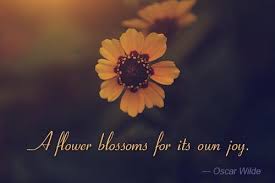 Quotes about flowers and growth. Quotes About Without Plants And Flowers 17 Quotes