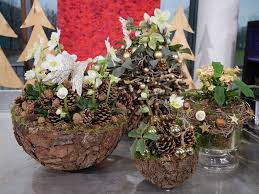 Mit einer programmankündigung hat mdr sachsen für massive kritik gesorgt. Weihnachtsfloristik In Verschiedenen Gefassen Mit Christrosen Und Zapfen Bildrechte Mdr Teresa Herlitzi Weihnachtsdekoration Weihnachtstrends Weihnachtsdeko
