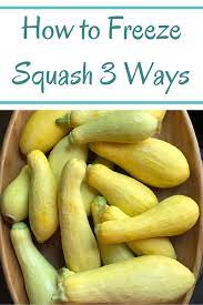 How To Freeze Squash Freezing Squash Best Healthy Dinner Recipes Aip Paleo Recipes