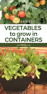 Check spelling or type a new query. Growing Vegetables In Containers These Are The Easiest Ones