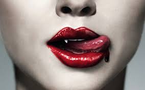 Dort sind die nächte nicht nur schwül und vom gezirpe der grillen erfüllt, sondern als neue magische gestalten kommen in dieser staffel die wolfswesen hinzu. True Blood Ende Der Serie Nach Der 7 Staffel Filmfutter