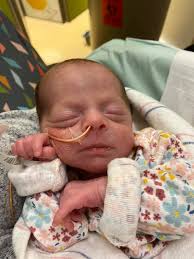 What a joy to welcome Samuel Matthias Hahn into the world (born July 9).  Number ten for our Gabriel and Sarah, Samuel weighed in at 8 lbs, 3 oz  (21”). Another home-birth,