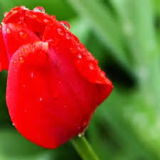 We did not find results for: Stream Beautiful Girls All Over The World Mash Up Bob Bruno Mars Ludacris By Hussein Ali Sultani Listen Online For Free On Soundcloud