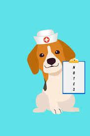 Notes : Kamara Johnson, Abigail: Amazon.se: Books