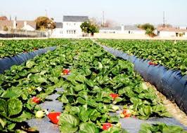 Anunturi gratuite cu diverse intalniri si relatii, poze si detalii contact. 150 De Locuri De MuncÄƒ In Spania Cat PoÈ›i CaÈ™tiga Pe OrÄƒ Observatorbn