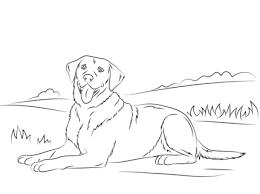 Labrador Retriever Coloring Page Dog Coloring Page Puppy Coloring Pages Labrador Retriever Puppies