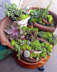 Des Jardins Dans Des Pots Casses Avec Images Mini Jardins Jardins Miniatures Deco Jardin