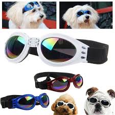 5 Renkler Katlanabilir Pet Kopek Gozluk Orta Buyuk Kopek Pet Gozluk Pet Gozluk Su Gecirmez Kopek