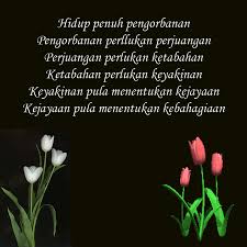 Tak tahu kapan hati akan dihuni seseorang. Kehidupan Cari Kata Kata Mutiara