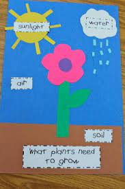 I hope you find an idea or two just perfect for. Mrs Ring S K Crew Kids Rock Plants And Animals Everywhere Preschool Activities Spring Preschool Kindergarten Science