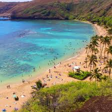 The beach is a protected cove with a stretch of white sand and tall palm trees. Extended Hanauma Bay Snorkeling Tours Hanauma Bay Tours