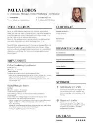 Ecommerce Marketing Resume Examples Pro Tips Featured Enhancv