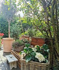 Pin By Sonja Muller Gollner On Gardening In 2020 Plants Instagram