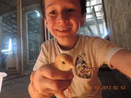 Profile for Hess Farms