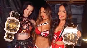 Brie Bella Searching For 