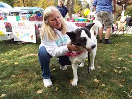 Over 6 million pets and other companion animals are. A Pleasant Day To Adopt A Shelter Pet At Paws Fur A Cause Celebration The Newtown Bee