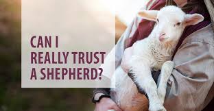 Image result for Sinners, saints, sheep, goats, hands together, time to pray.