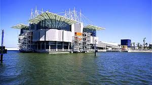 Os municípios em questão são lisboa, braga, odemira e vale de cambra. Oceanario De Lisboa Www Visitportugal Com