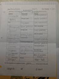 The Instructions To This Cell As A Factory Ws Were To Come Up With An Analogy Of Each Cell Organelle To Parts Of Science Cells Middle School Science Cell Parts