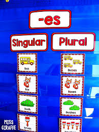 A singular noun refers to one noun, whereas, a plural noun refers to more than one noun. Miss Giraffe S Class Teaching Singular And Plural Nouns