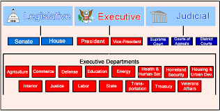 This lesson takes a look at the history of the presidential cabinet, how the cabinet is built through the confirmation. Executive Branch