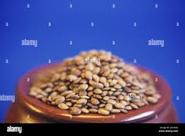 Image result for Macrotyloma